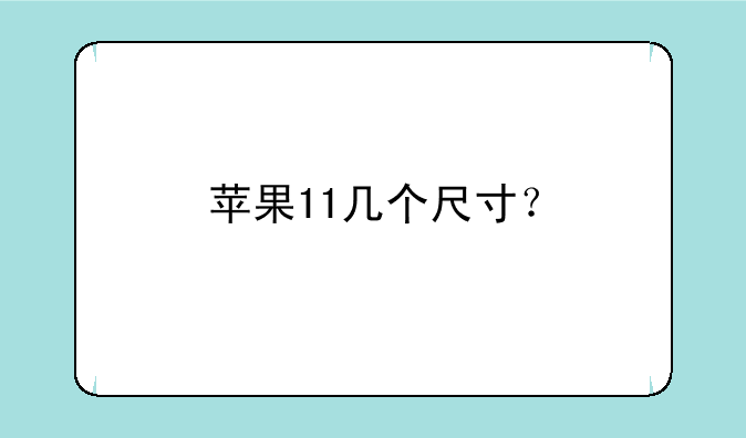 苹果11几个尺寸？
