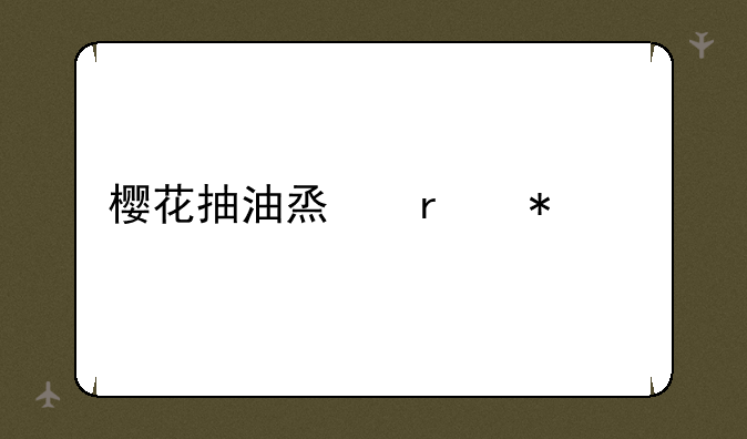 樱花抽油烟机报价