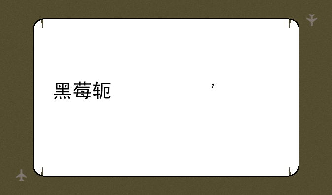 黑莓软件安装步骤