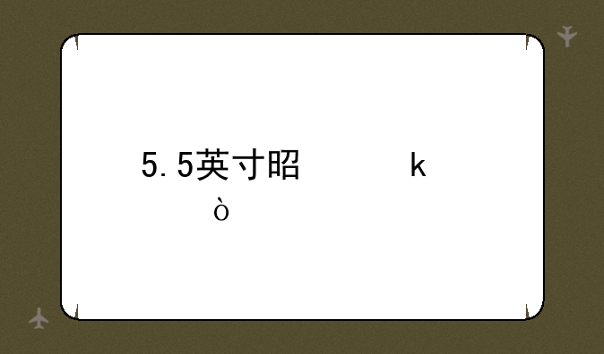 5.5英寸是多大？