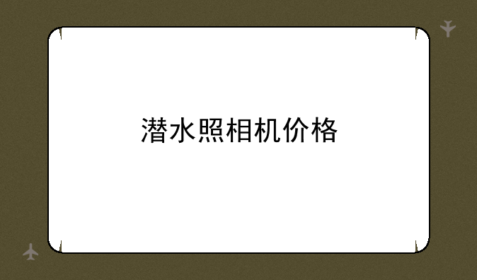 潜水照相机价格