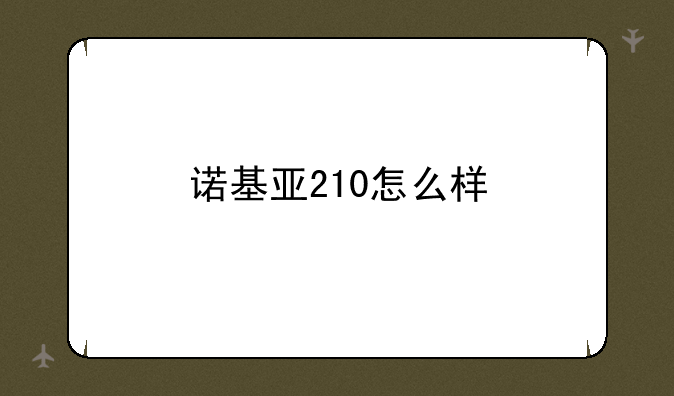 诺基亚210怎么样