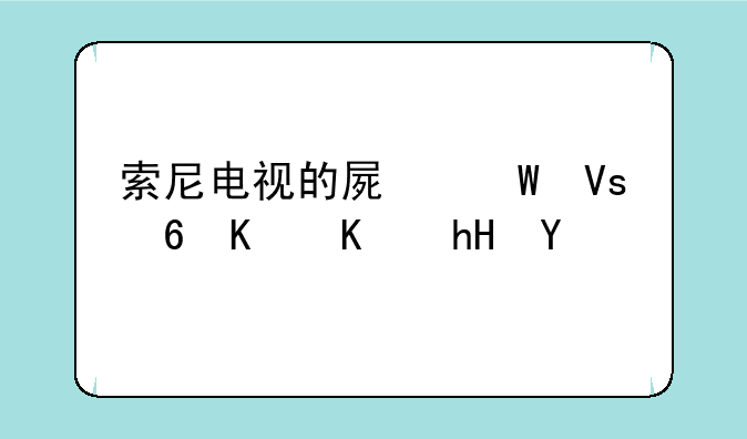 索尼电视的屏幕镜像什么意思