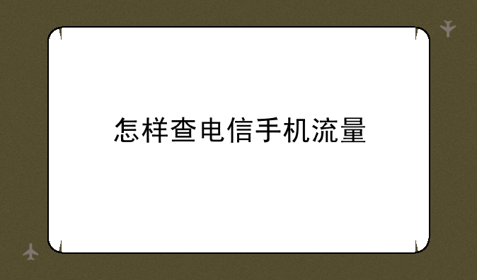 怎样查电信手机流量