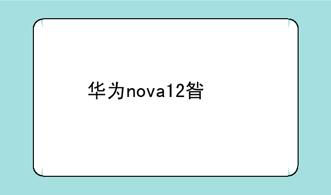 华为nova12星耀版和什么区别