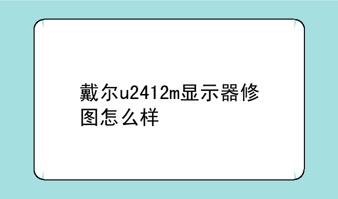 你好，我想问DELL U2412M 的接口问题。—