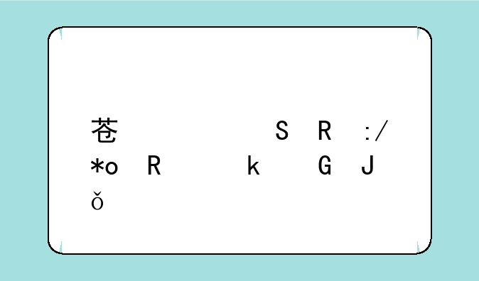 苏泊尔电压力锅多少钱一个