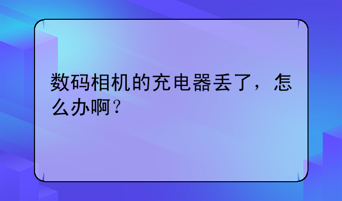 数码相机的充电器丢了，怎么办啊？