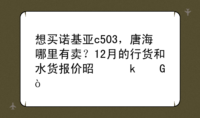 想买诺基亚c503，唐海哪里有卖？12月的行