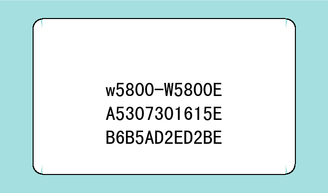w5800-W5800EA5307301615EB6B5AD2ED2BE