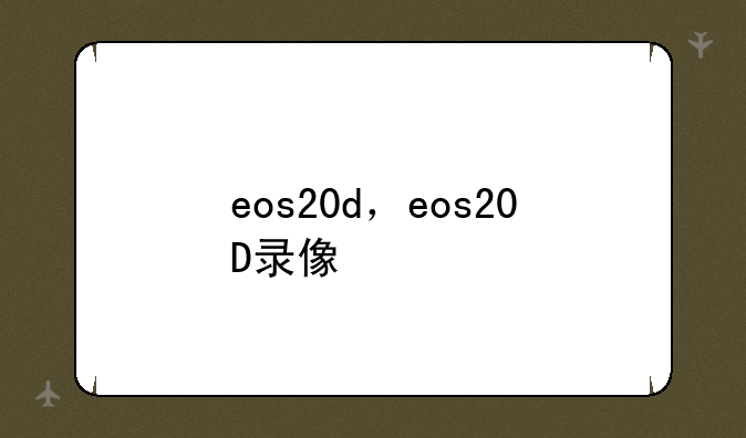 eos20d，eos20D录像