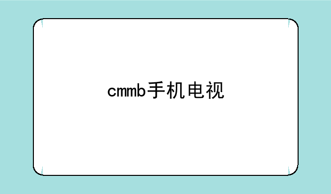 cmmb手机电视