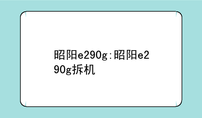 昭阳e290g:昭阳e290g拆机