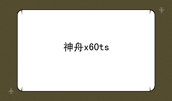 神舟x60ts