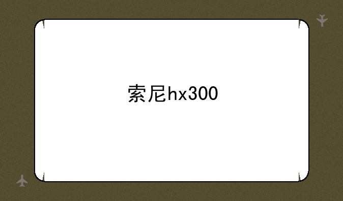索尼hx300