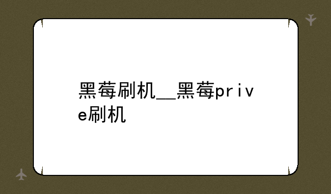 <b>黑莓刷机__黑莓prive刷机</b>