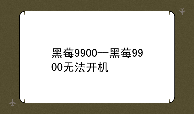 黑莓9900--黑莓9900无法开机