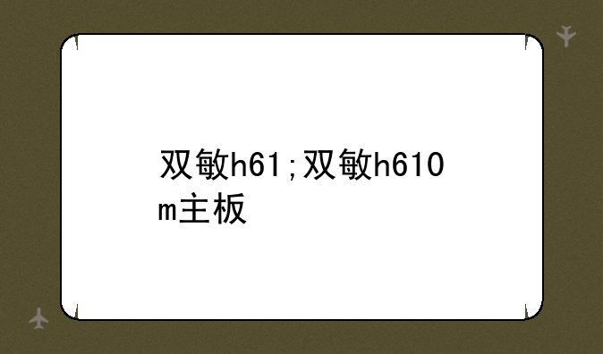 双敏h61;双敏h610m主板